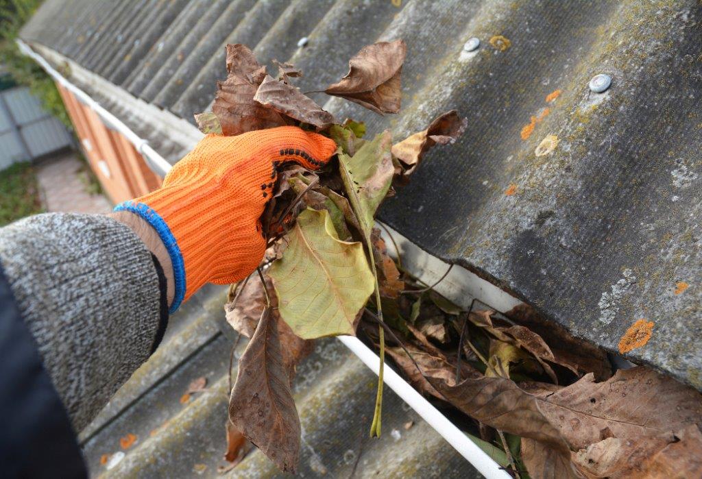 8 Simple Fall Projects for Home Improvement
